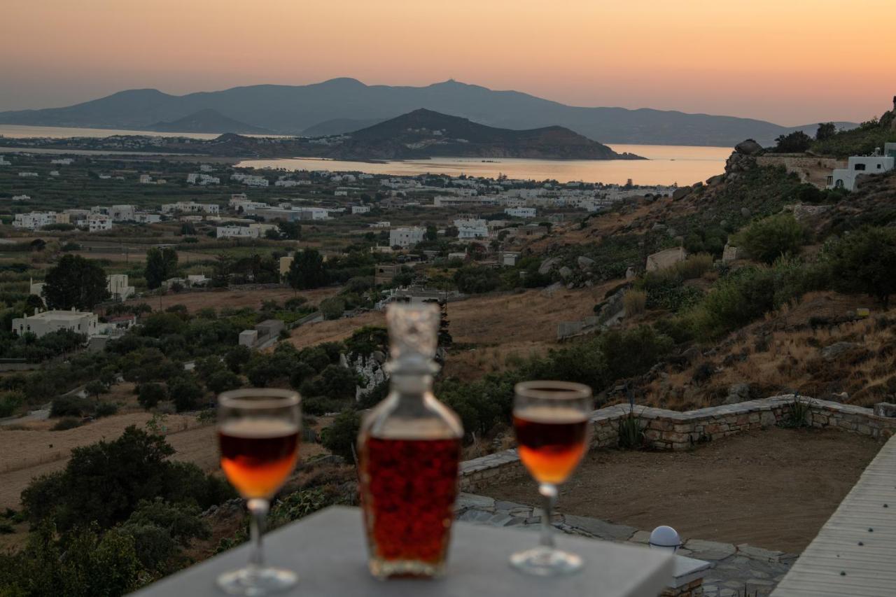 Alta Vista Naxos Apart otel Naxos City Dış mekan fotoğraf